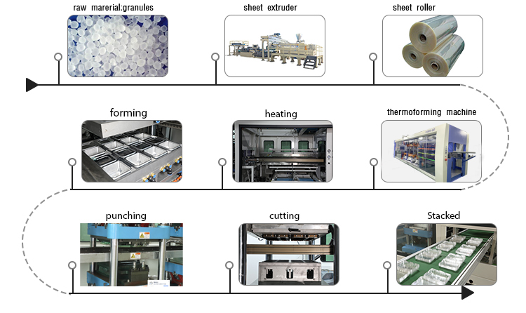 DM80 Four Station Fully Automatic PET biscuit tray Thermoforming Machine